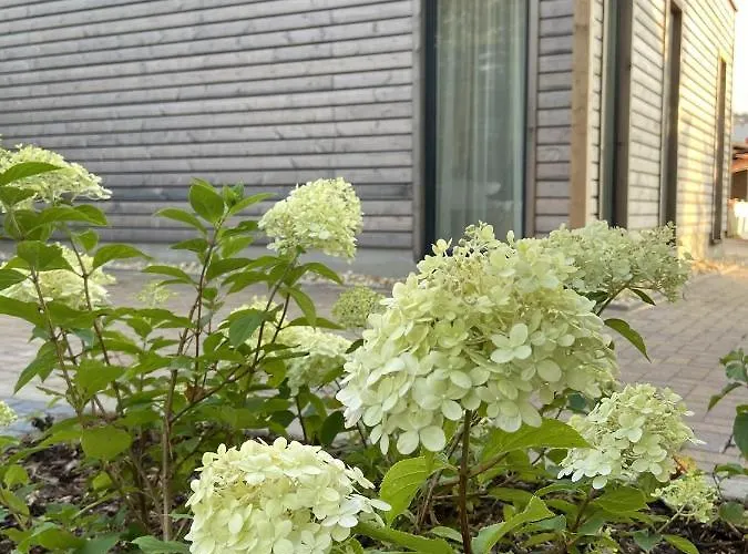 بيت للعطل Auszeit