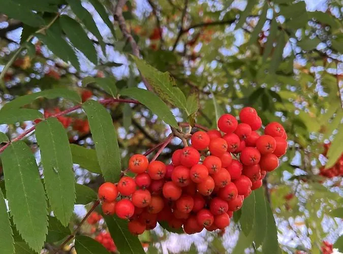 بيت للعطل Auszeit