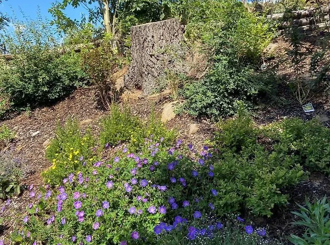 Auszeit * Rottendorf